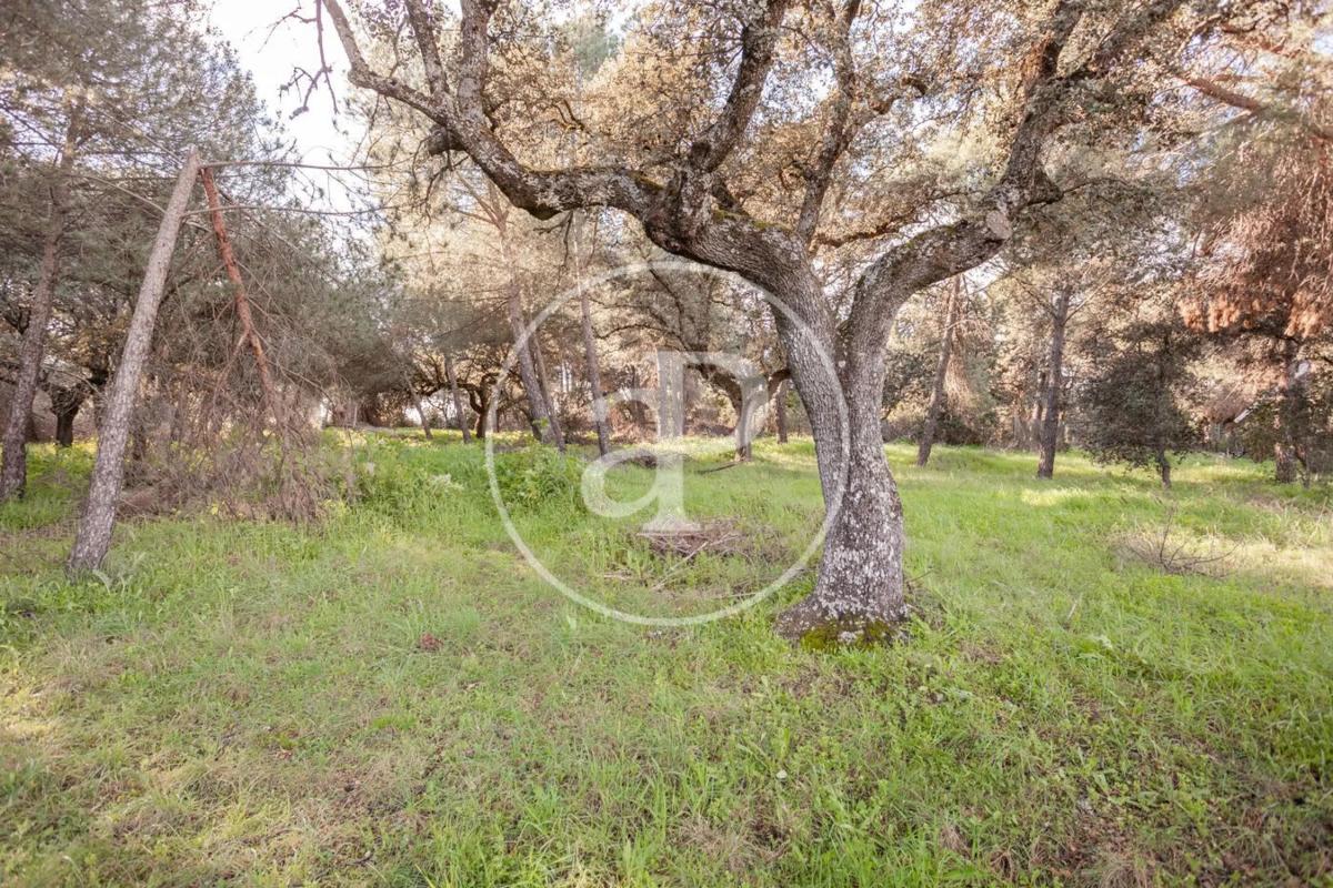 Terreno en venta en Boadilla del Monte, Madrid photo 5