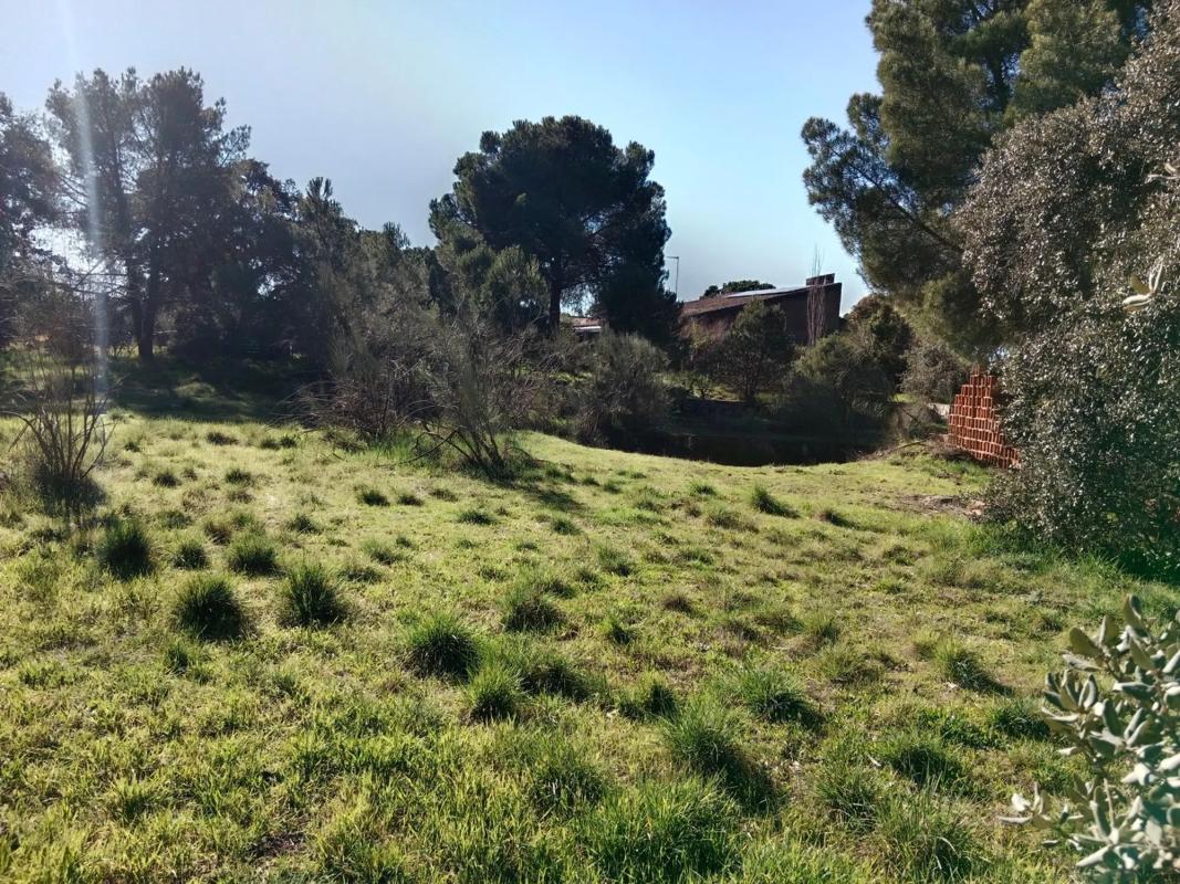 Terreno en venta en Boadilla del Monte, Madrid photo 1