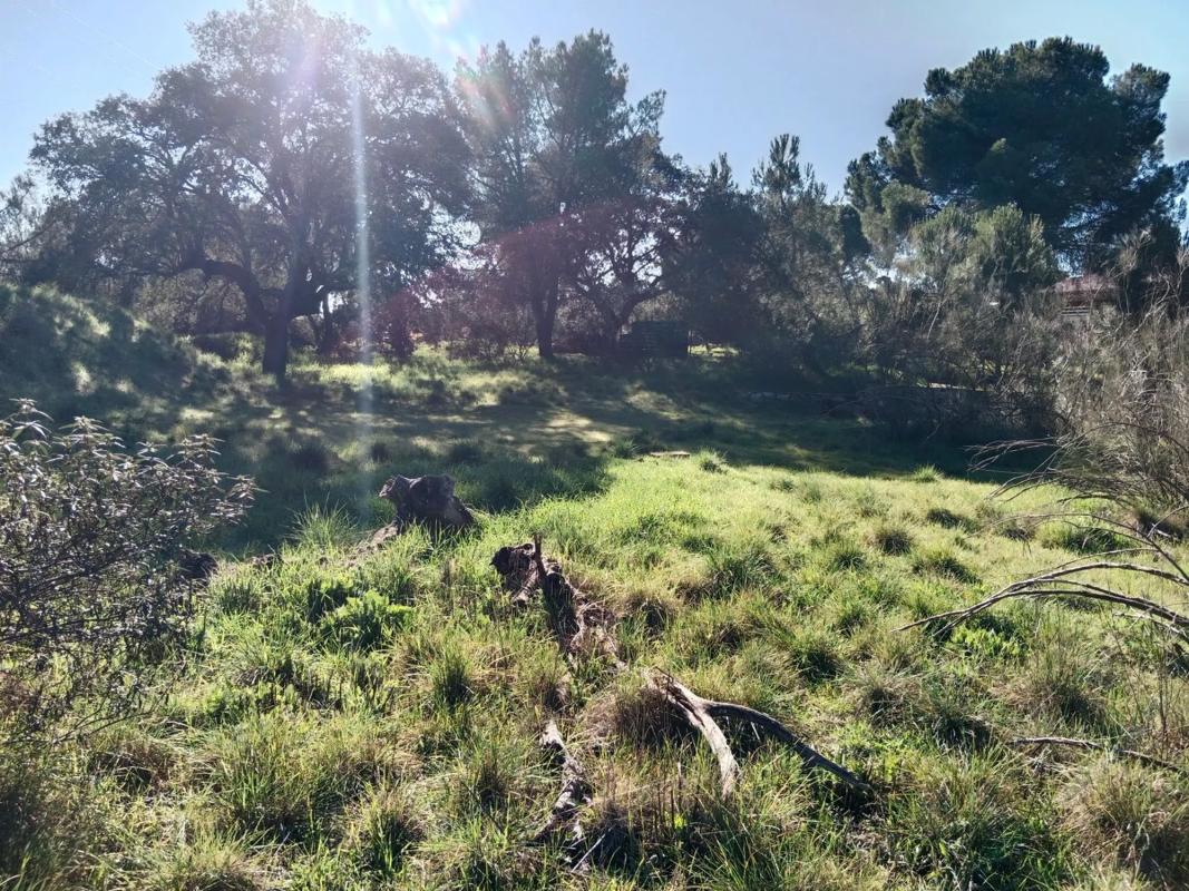 Terreno en venta en Boadilla del Monte, Madrid photo 3
