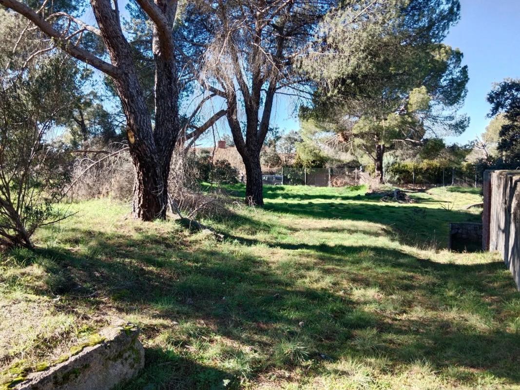 Terreno en venta en Boadilla del Monte, Madrid photo 5