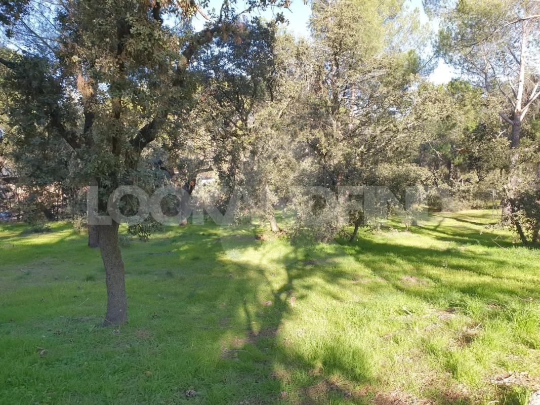 Terreno en venta en Boadilla del Monte, Madrid photo 5