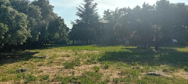 Terreno en avenida de los Canteros, 58 thumbnail 2