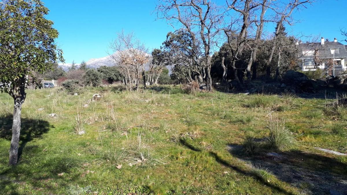 Terreno en venta en Cerceda, Madrid photo 3