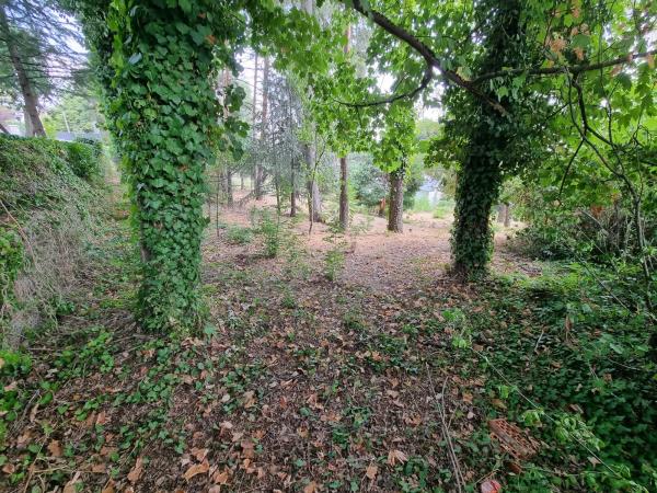 Terreno en camino de Santa María photo 1