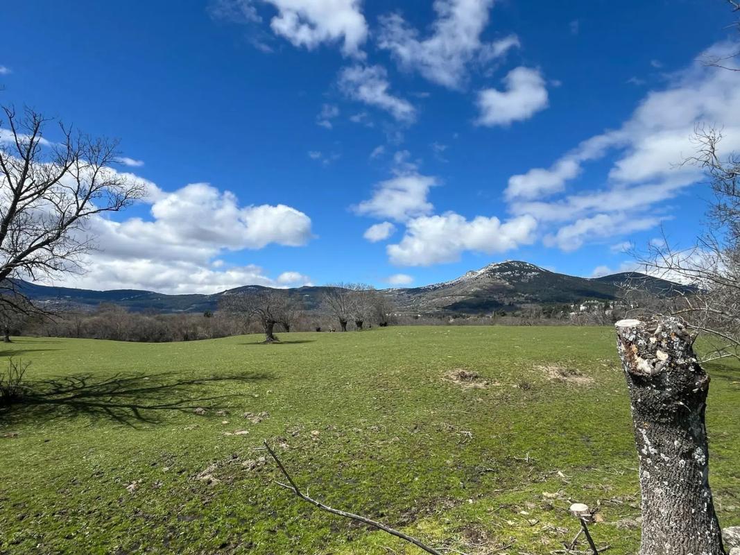 Land for sale in Cercedilla, Madrid photo 1