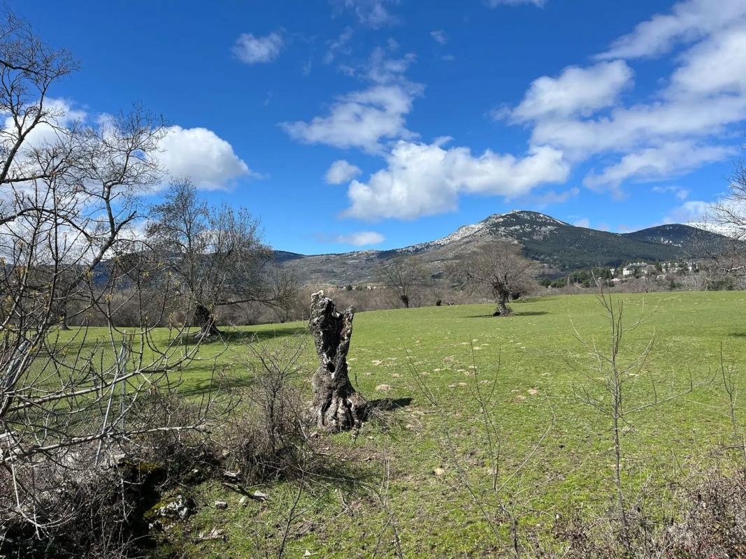 Land for sale in Cercedilla, Madrid photo 3