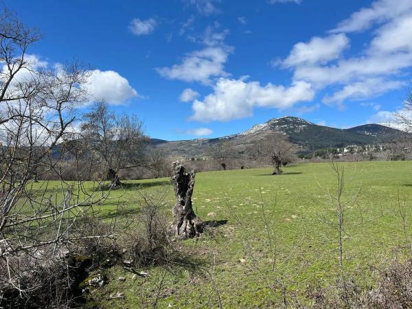 Terreno en Poligono photo 3