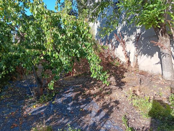Terreno en calle Linares, 7 photo 4