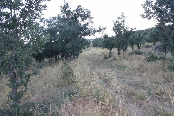 Terreno en camino del faro s/n photo 2