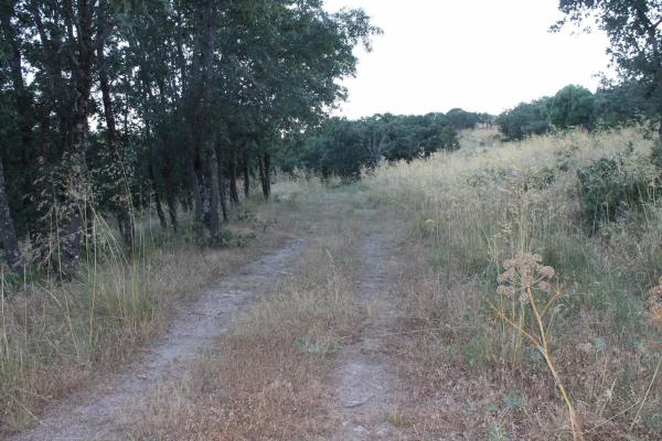 Terreno en camino del faro s/n photo 4