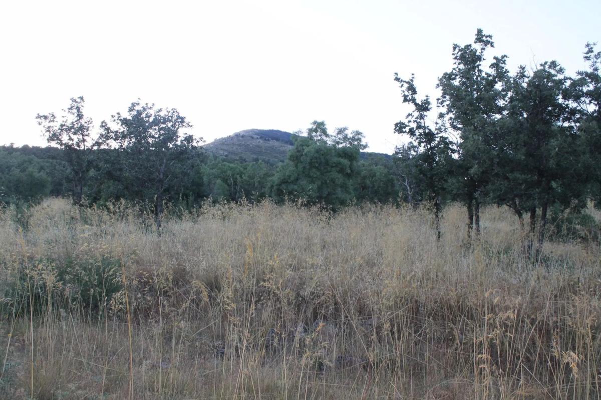 Terreno en venta en Cercedilla, Madrid photo 5