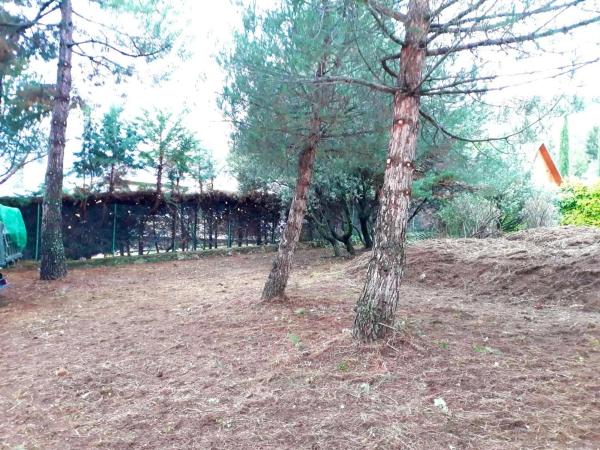 Terreno en camino de Navacerrada, 11 photo 1