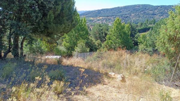 Terreno en calle de Ignacio photo 1