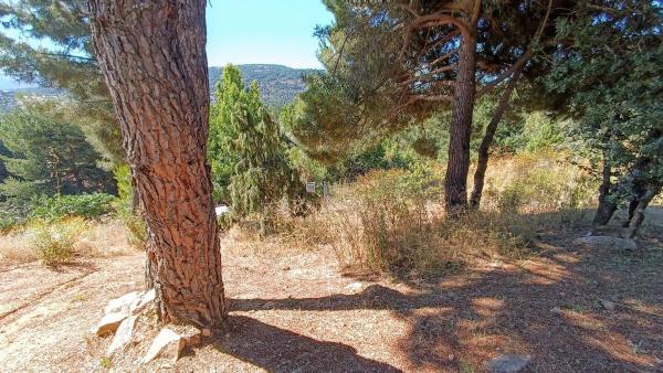 Terreno en calle de Ignacio thumbnail 2