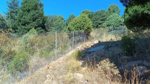 Terreno en calle de Ignacio photo 4