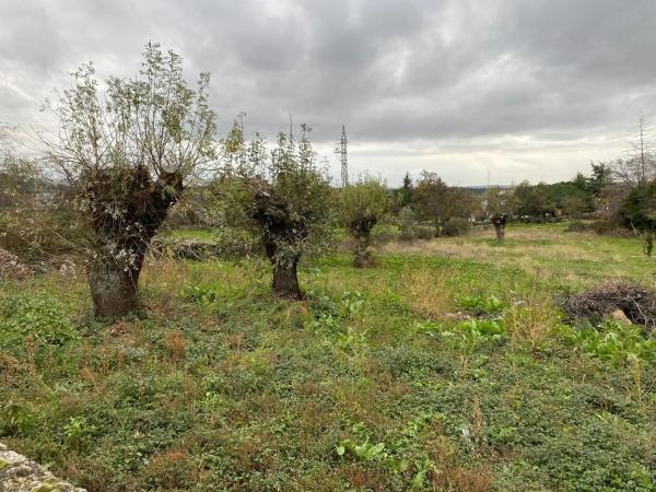 Terreno en Collado Mediano photo 4