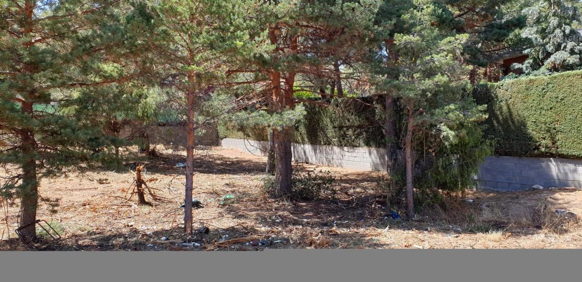 Terreno en venta en Collado Mediano, Madrid photo 4