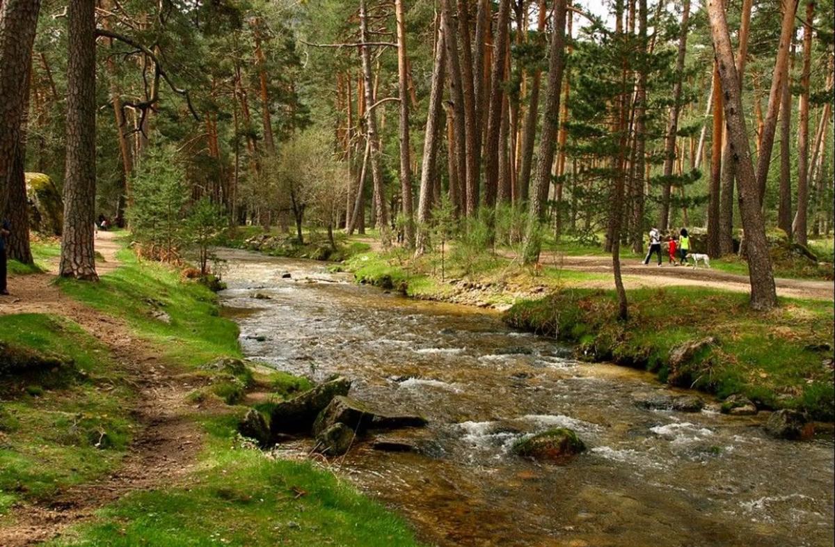 Участок земли на продажу в Колладо Медиано, Мадрид photo 5