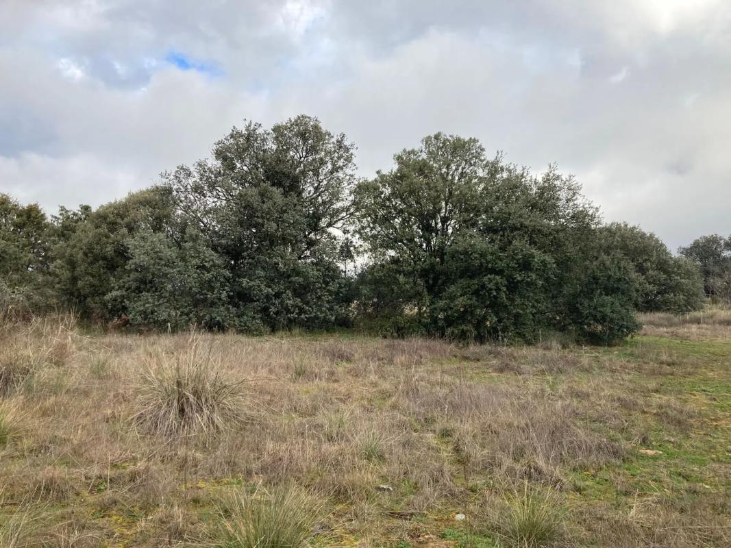 Land for sale in Collado Mediano, Madrid photo 1