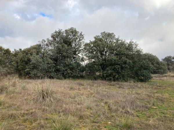 Terreno en Sotogrande de Abajo, 3 photo 1