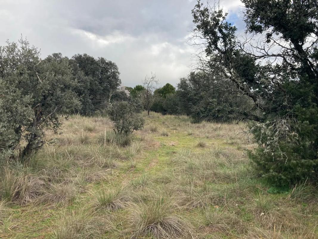 Land for sale in Collado Mediano, Madrid photo 3