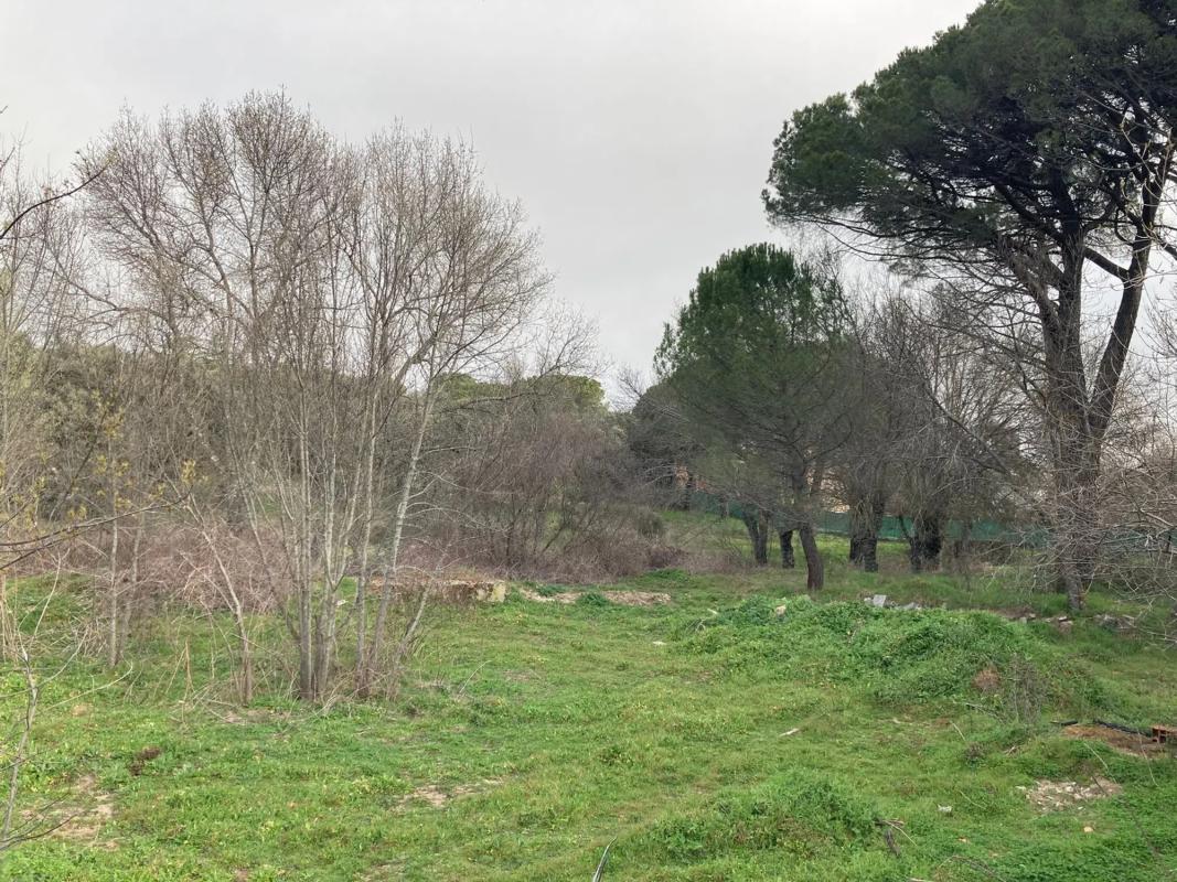 Land for sale in Collado Mediano, Madrid photo 4