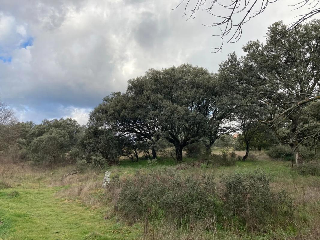 Land for sale in Collado Mediano, Madrid photo 5