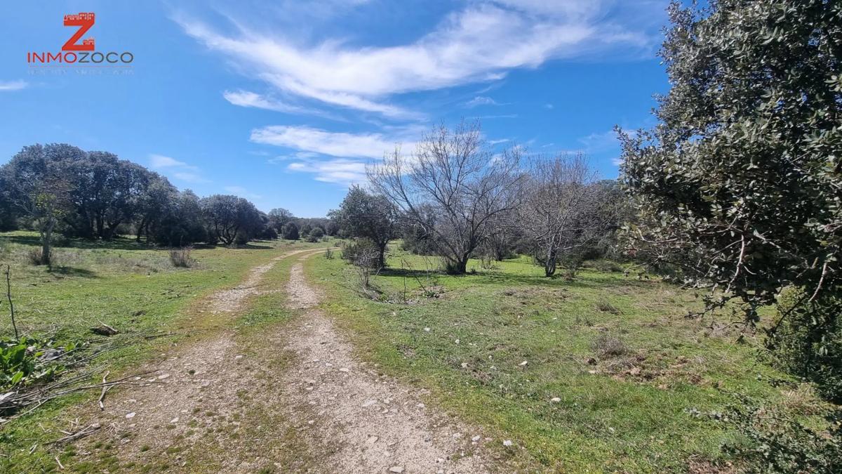 Terreno en venta en Collado Villalba, Madrid photo 2
