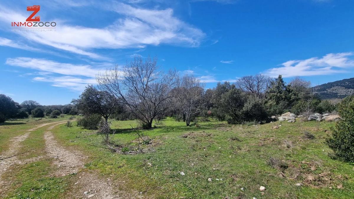 Terreno en venta en Collado Villalba, Madrid photo 3