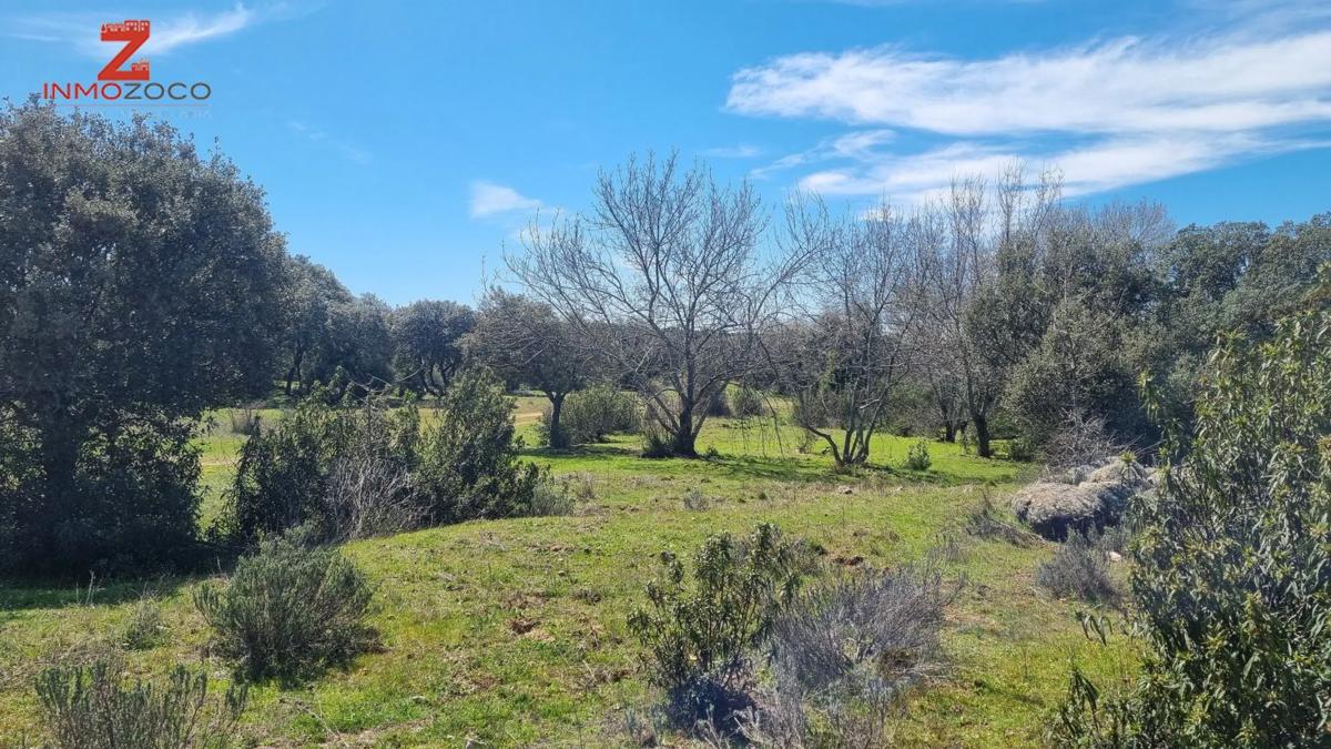 Terreno en venta en Collado Villalba, Madrid photo 4