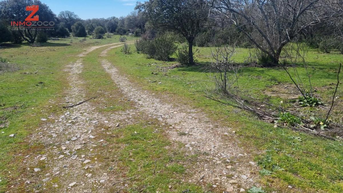 Terreno en venta en Collado Villalba, Madrid photo 5