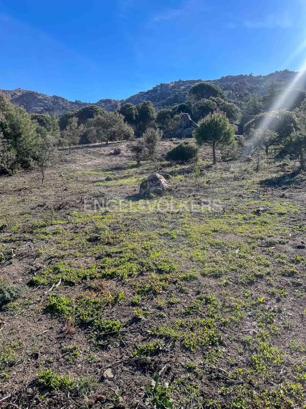 Terreno en venta en Collado Villalba, Madrid photo 3