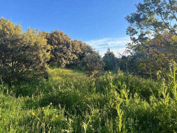 Terreno en calle Golondrinas, 5 -a thumbnail 2