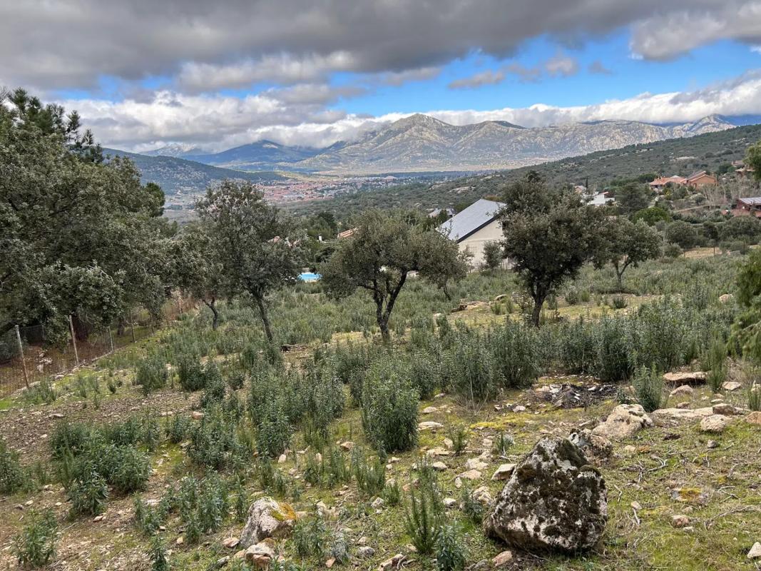 Terreno en venta en Collado Villalba, Madrid photo 3