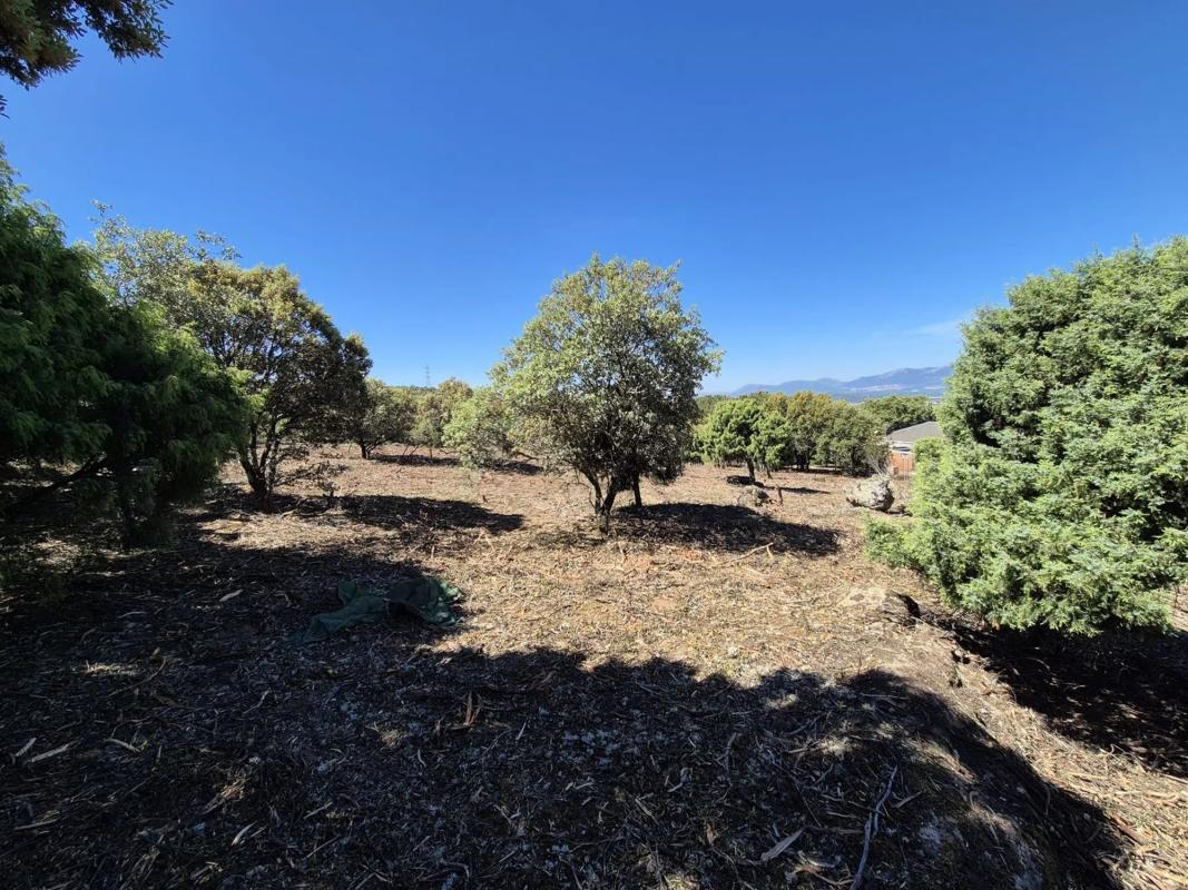 Terreno en venta en Collado Villalba, Madrid photo 2