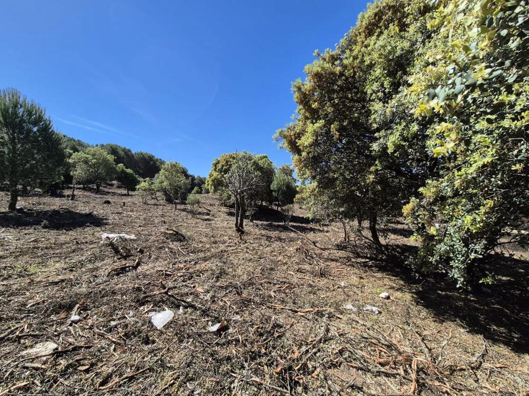 Terreno en venta en Collado Villalba, Madrid photo 5