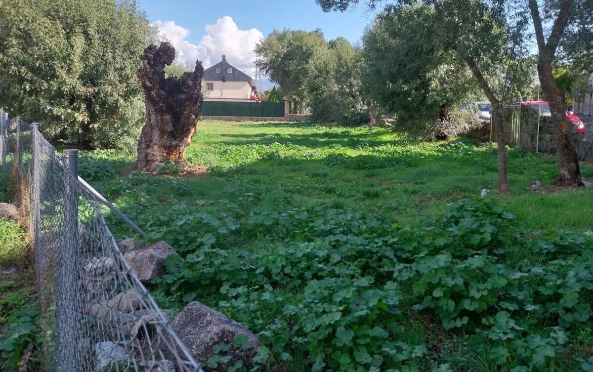 Land for sale in Collado Villalba, Madrid photo 3