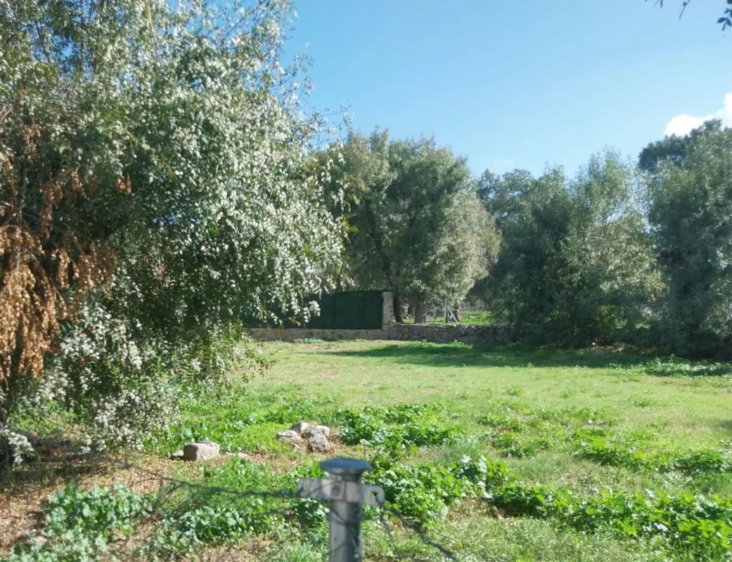 Land for sale in Collado Villalba, Madrid photo 5
