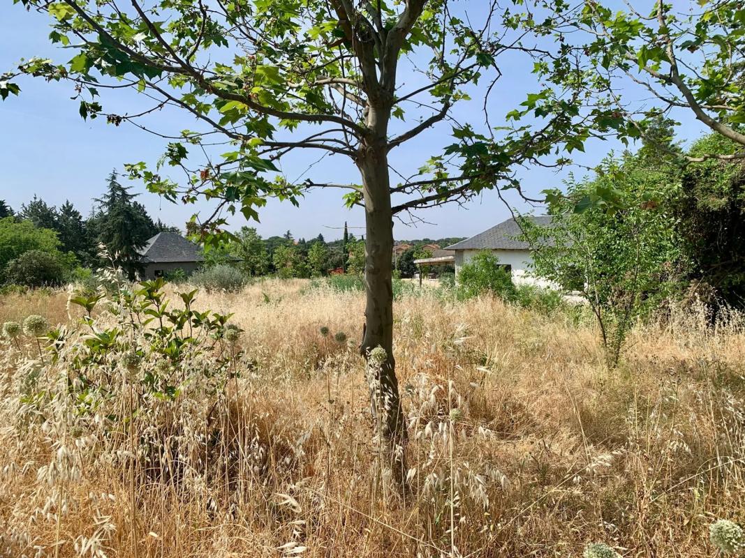Terreno en venta en Colmenarejo, Madrid photo 3
