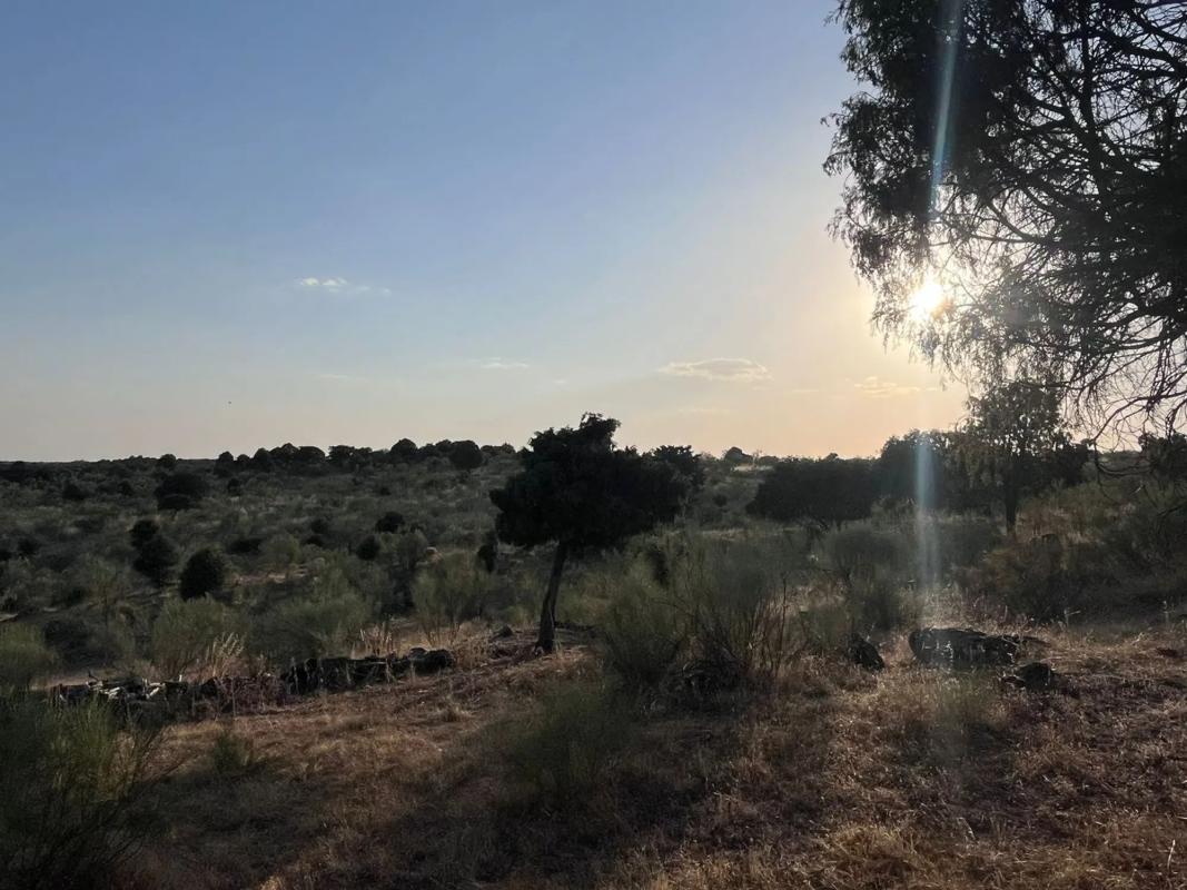 Land for sale in Colmenarejo, Madrid photo 1