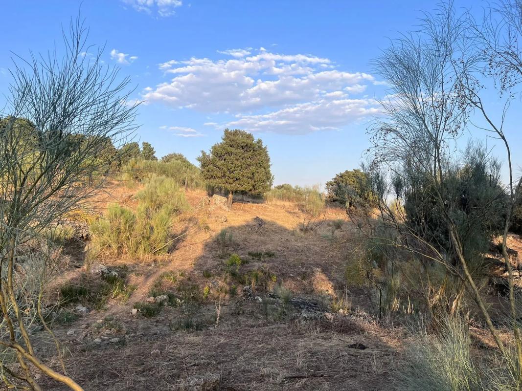 Land for sale in Colmenarejo, Madrid photo 2