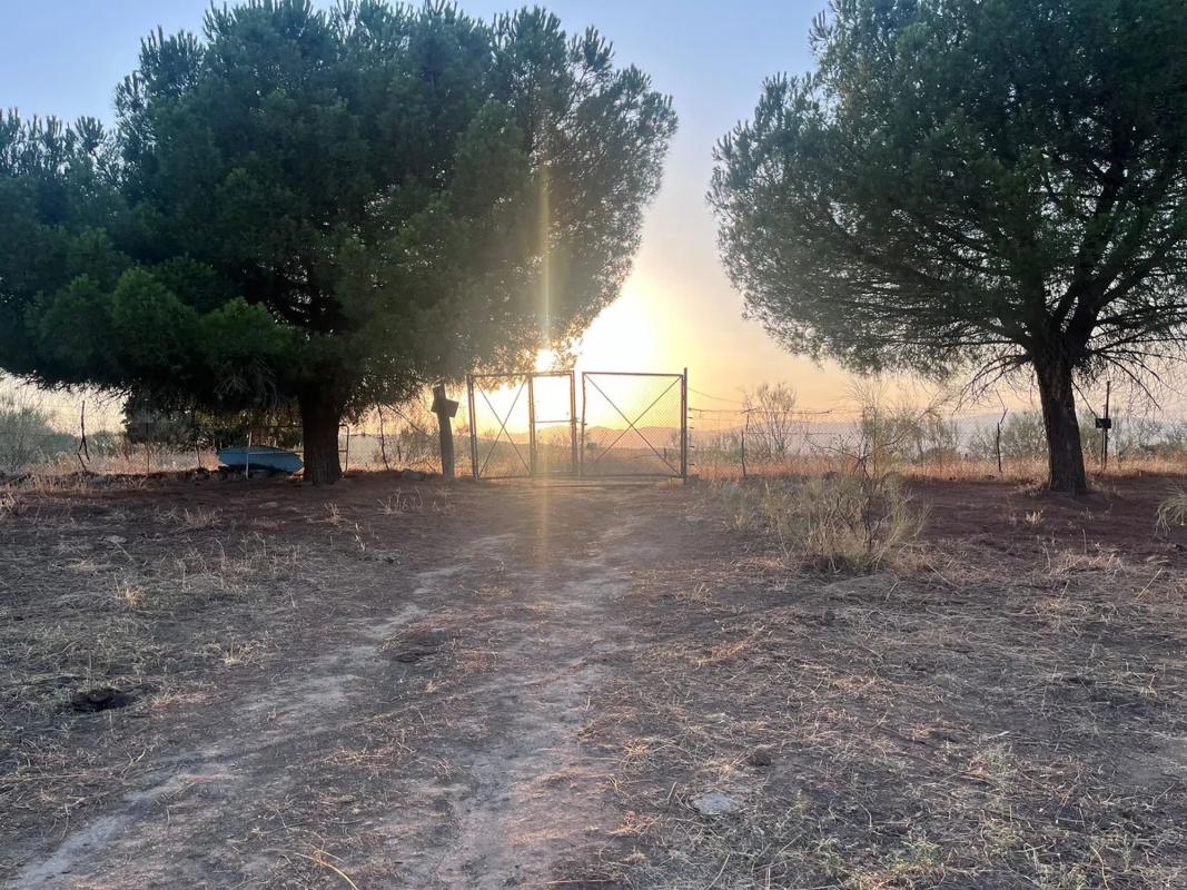 Land for sale in Colmenarejo, Madrid photo 3
