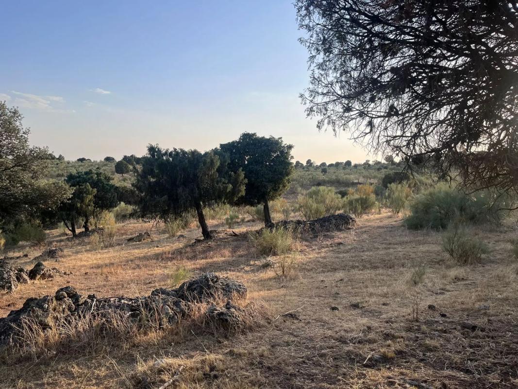 Land for sale in Colmenarejo, Madrid photo 4