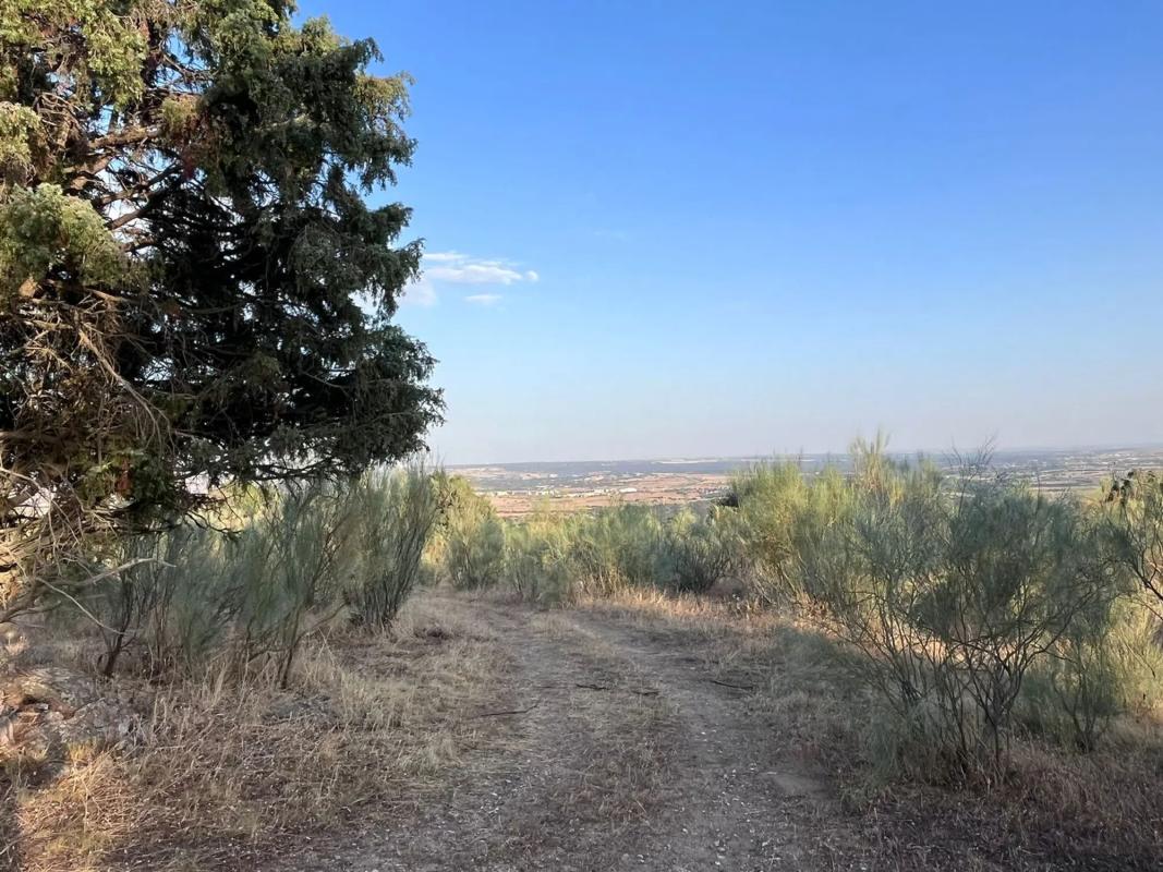 Land for sale in Colmenarejo, Madrid photo 5