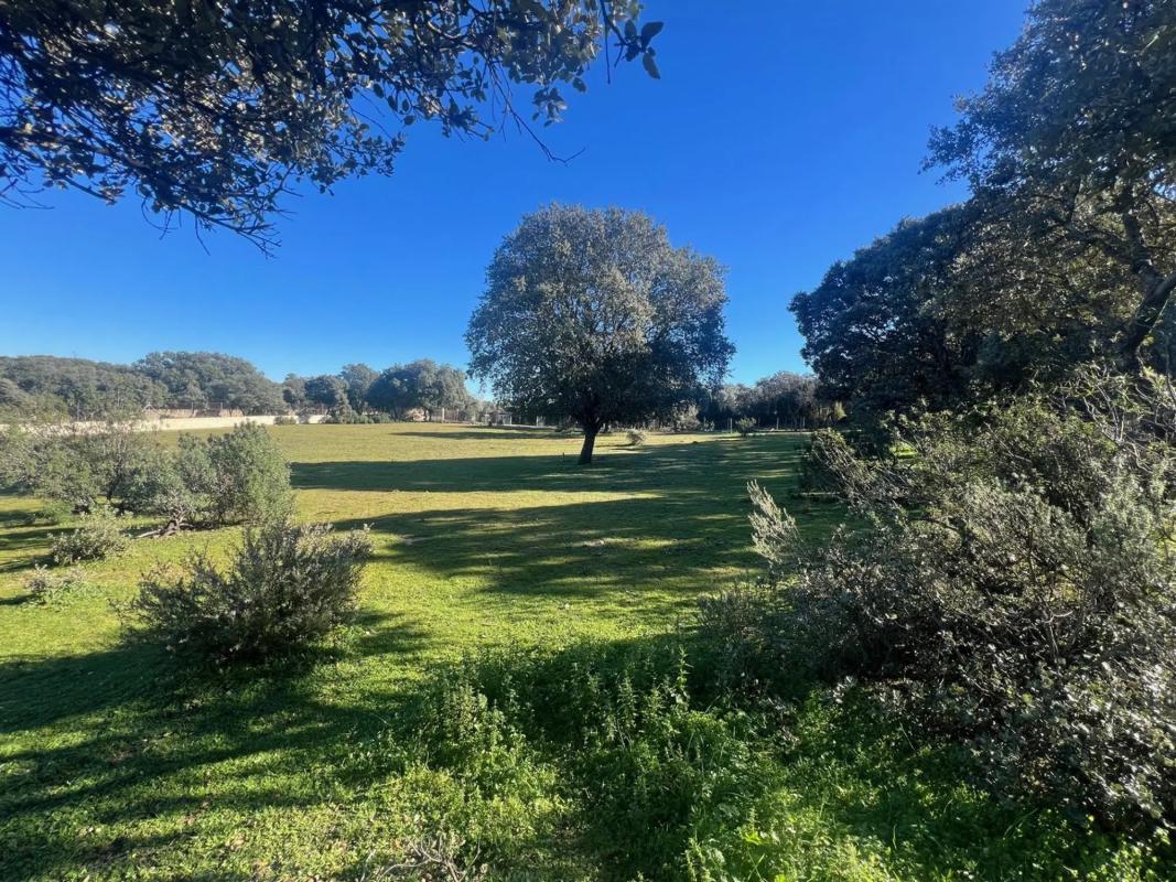Land for sale in Colmenarejo, Madrid photo 2