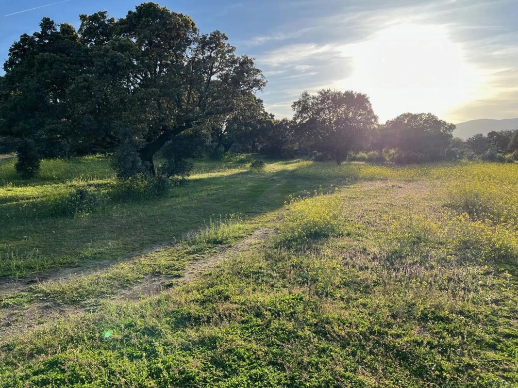 Land for sale in Colmenarejo, Madrid photo 3