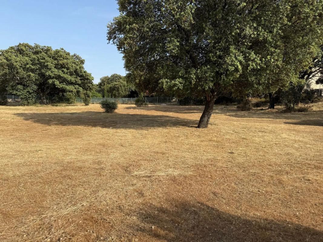 Land for sale in Colmenarejo, Madrid photo 4
