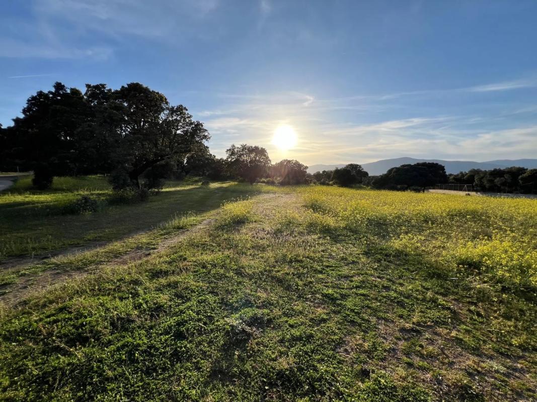 Land for sale in Colmenarejo, Madrid photo 5
