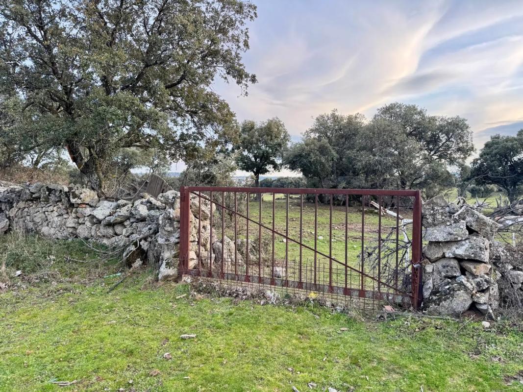 Land for sale in Colmenarejo, Madrid photo 2