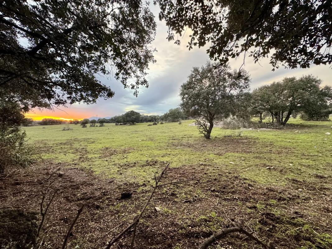 Land for sale in Colmenarejo, Madrid photo 3